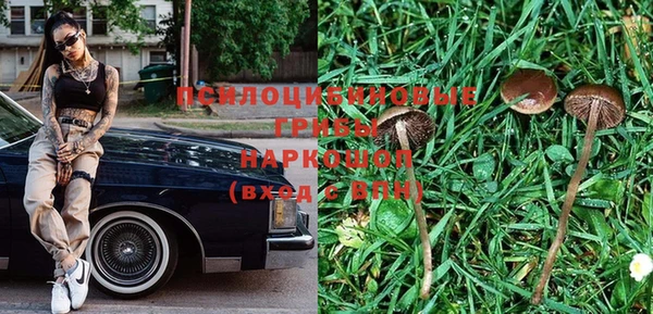 дживик Белокуриха