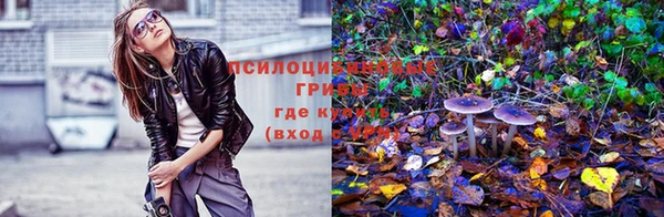 ECSTASY Балахна