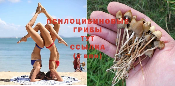ECSTASY Балахна